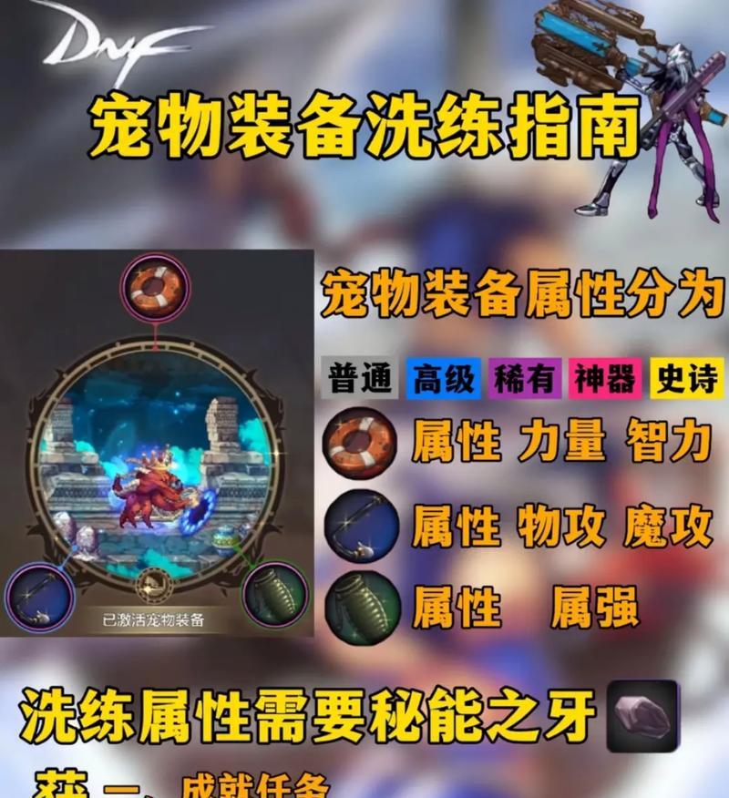 地下城宠物装备属性选择指南？如何挑选最佳属性？