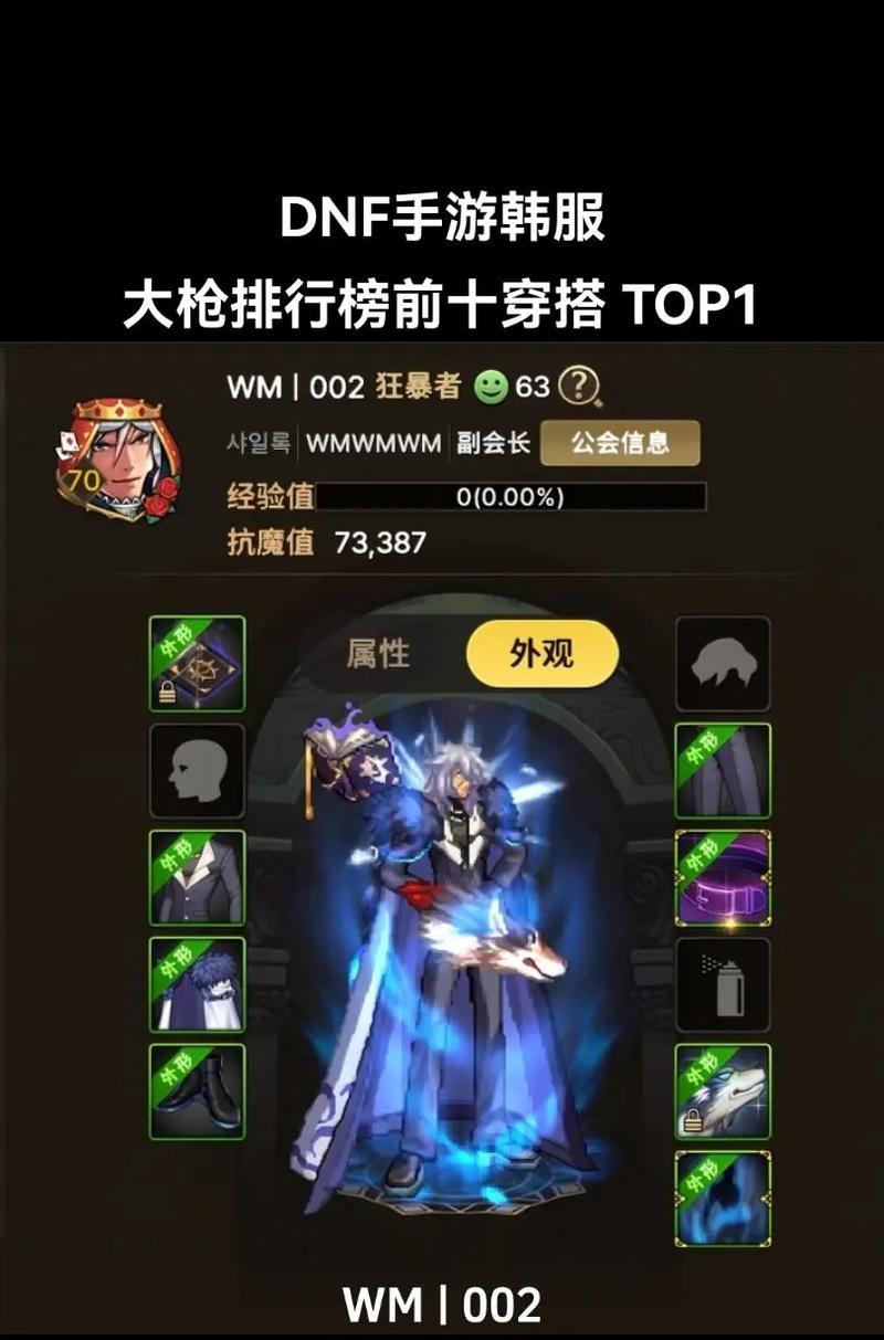 dnf大枪用什么宠物？宠物对技能有何影响？