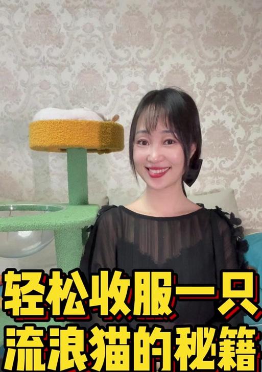 魔域刷猫的技巧和方法是什么？如何提高刷猫效率？
