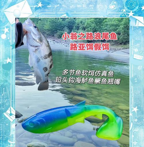 鲈鱼钓鱼时哪种假饵效果最佳？选择假饵有什么技巧？