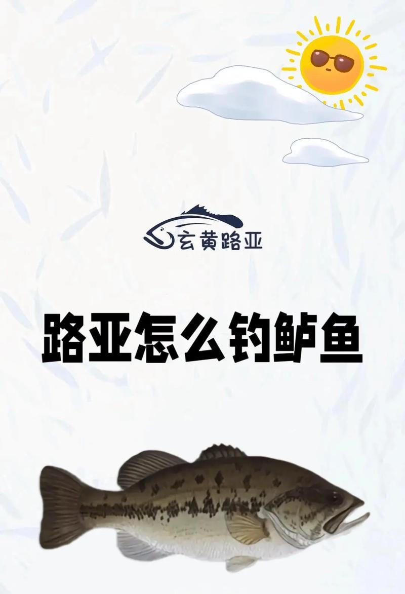 鲈鱼钓鱼时哪种假饵效果最佳？选择假饵有什么技巧？