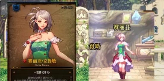 赛丽亚的喜好是什么？如何与赛丽亚互动？