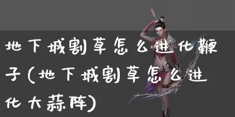 地下城割草鞭子英雄使用方法是什么？如何发挥最大效果？