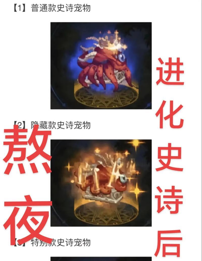 地下城中如何获得两个宠物？两个宠物有什么好处？