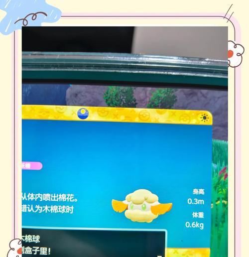 NS版口袋妖怪闪光精灵如何捕捉？捕捉技巧有哪些？