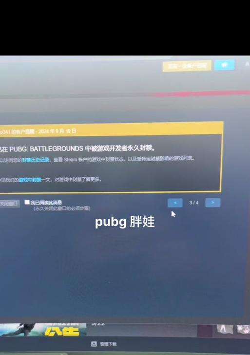 绝地求生胖娃玩法有哪些？如何快速上手？