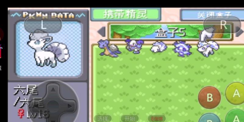 口袋妖怪浅滩洞穴战斗技巧是什么？