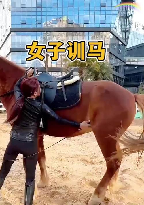 驯服马的步骤是什么？驯服马有什么技巧吗？