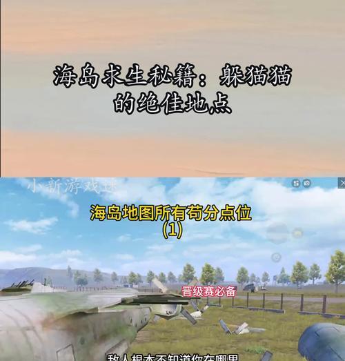仙人海岛绝地求生有哪些技巧？如何提高生存率？