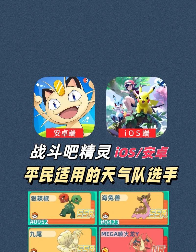 口袋妖怪中如何应对强风天气？强风对战斗有何影响？