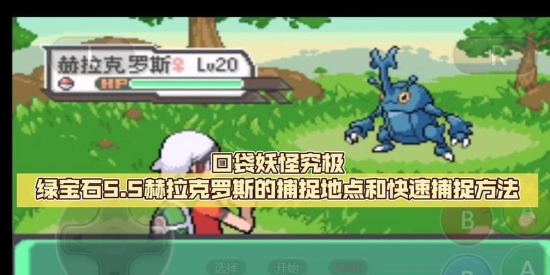 口袋妖怪xy连锁捕捉技巧是什么？如何提高连锁反应的成功率？