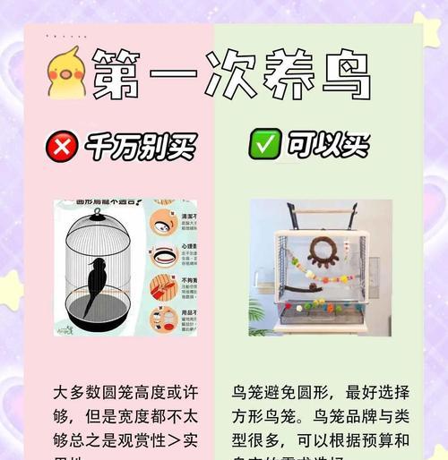 绝地求生鸟笼刷新点如何使用？有什么技巧？