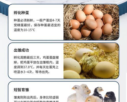 我的世界中光之蛋如何孵化？孵化过程是怎样的？