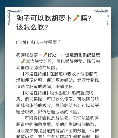 在《我的世界》中如何喂食狗狗？喂食的好处是什么？