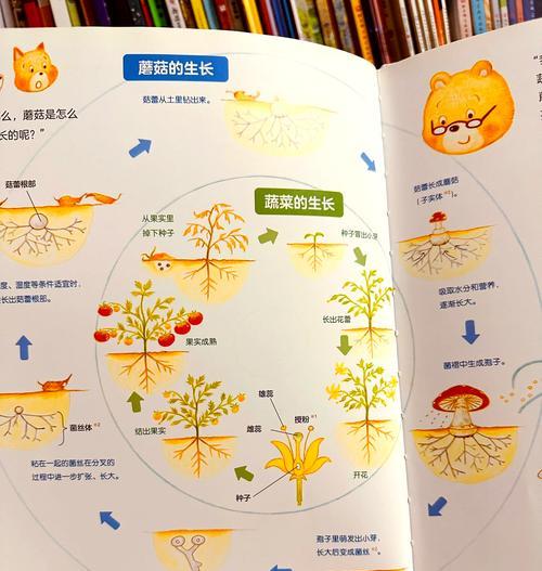 我的世界种蘑菇的正确方法是什么？