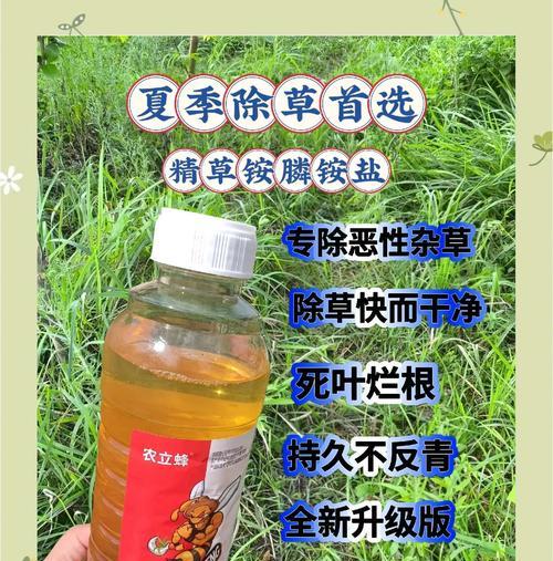 去除野草的有效方法是什么？