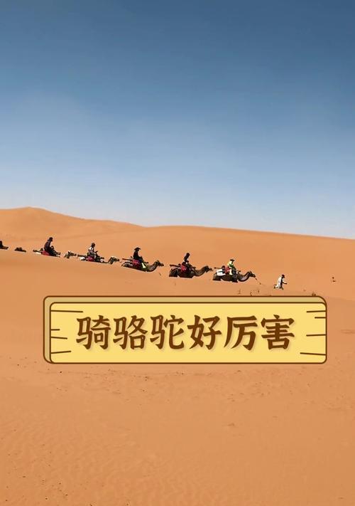骆驼怎么驾驶我的世界？在沙漠中如何使用骆驼？