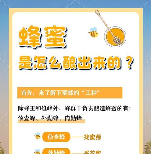 蜂蜜捕捉的正确步骤是什么？