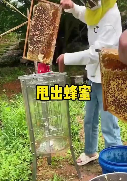 蜂蜜捕捉的正确步骤是什么？