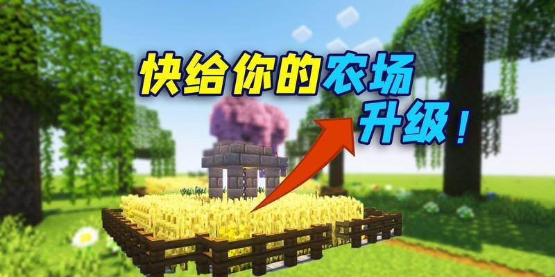 我的世界耕地技巧是什么？耕地后如何提高效率？