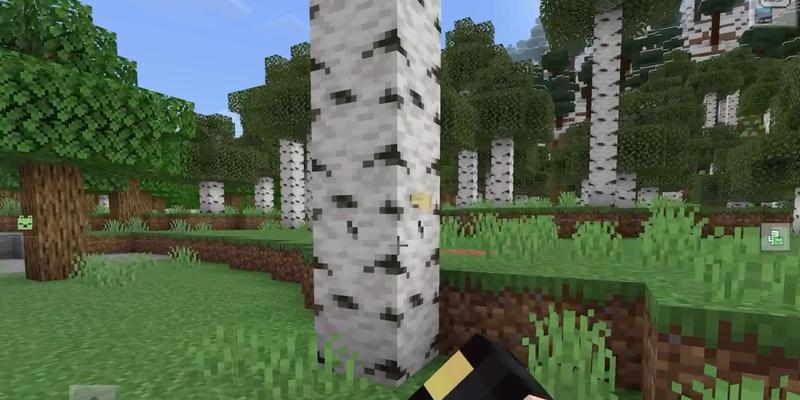 我的世界果实采集方法是什么？如何在Minecraft中采集果实？