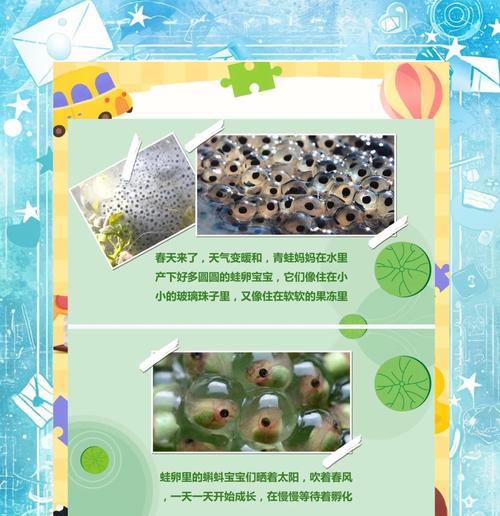 我的世界蝌蚪怎么生存？如何在水中快速成长？