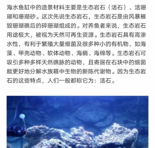 建造海水世界需要哪些材料和步骤？
