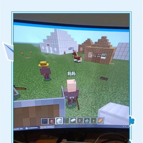 物品id在Minecraft中如何显示？显示id有何作用？