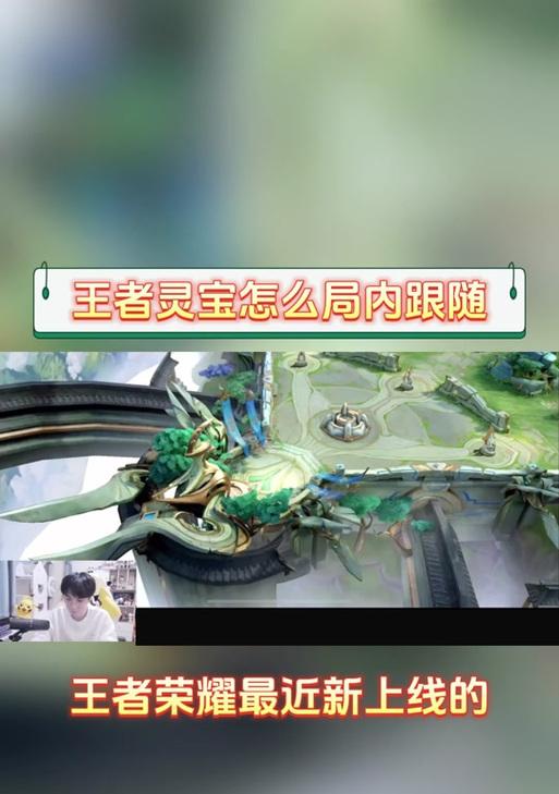 王者荣耀灵宝投诉流程是什么？