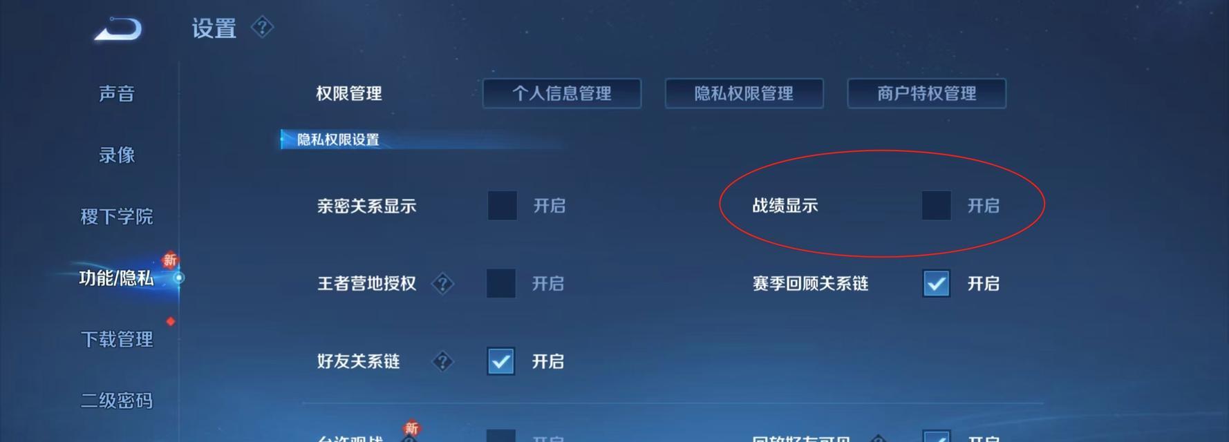 王者荣耀战绩功能如何设置？设置后如何查看？