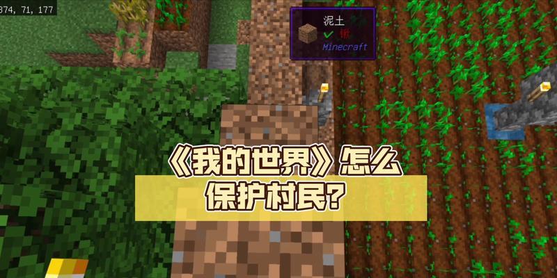 我的世界保护村民的策略是什么？