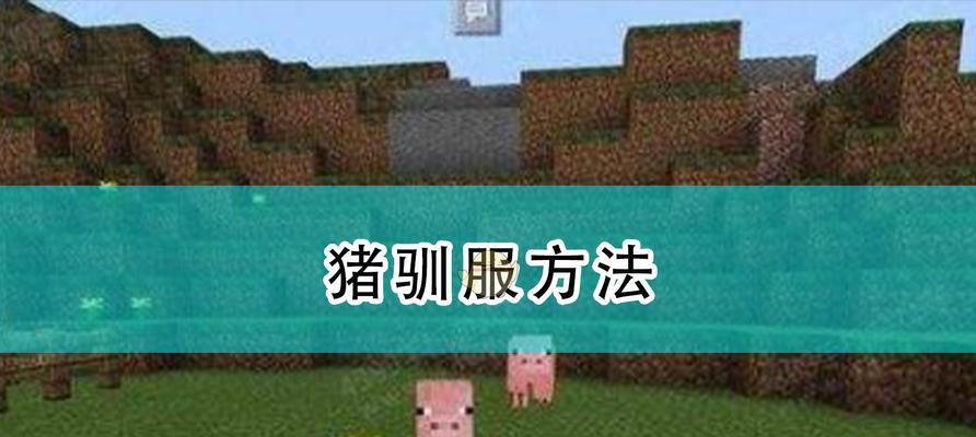 我的世界中猪的正确喂食方法是什么？
