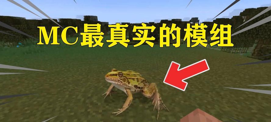 我的世界中青蛙养殖的方法是什么？有哪些技巧？