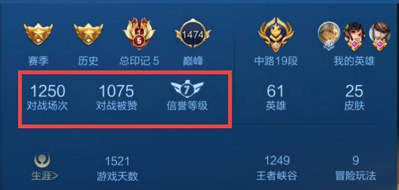 卓越印记在王者荣耀中的作用是什么？