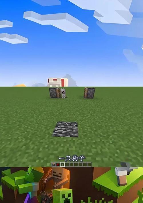 我的世界中获取狗的方法有哪些？