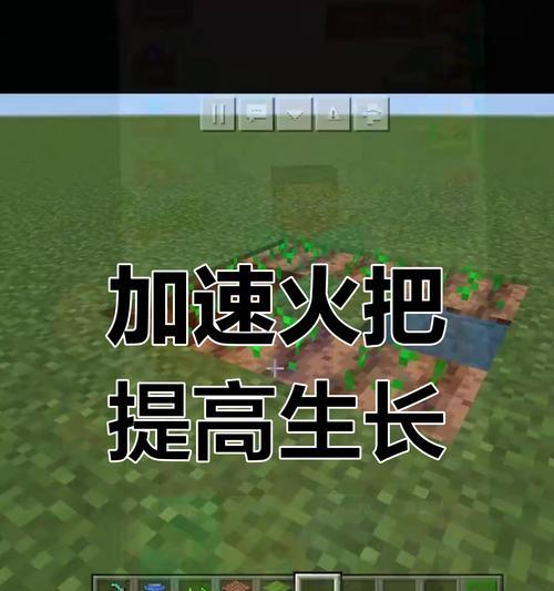 我的世界中如何采集小麦？小麦采集的正确步骤是什么？