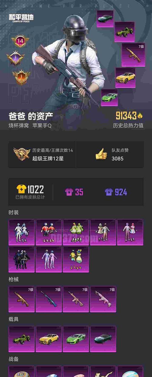 《天天风之旅》游戏S阶装备坚果缤纷的搭配攻略（打造最强装备阵容）