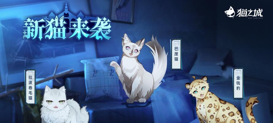 探秘猫之城猫屋玩法攻略流程，打造专属猫咪乐园（以游戏为主）