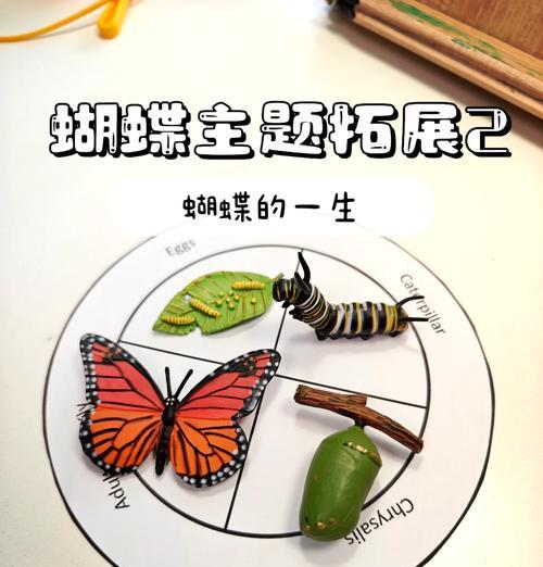 我的世界中蝴蝶繁殖方法是什么？繁殖后有何变化？