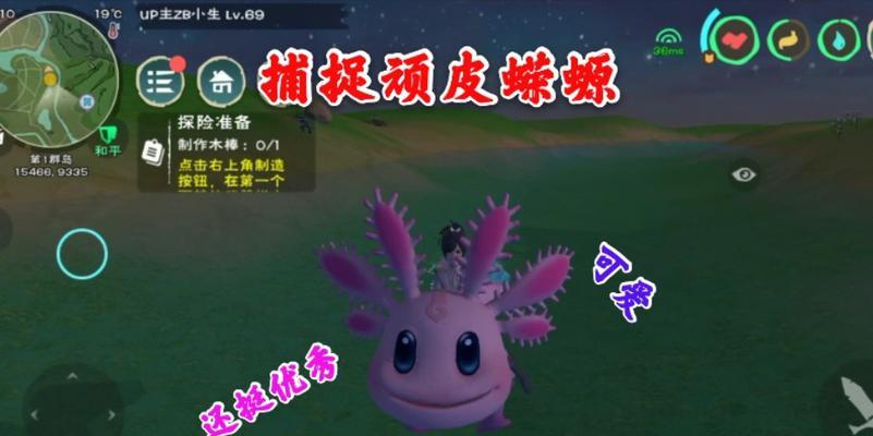 《探索魔法奇遇生物的捕捉攻略》（挑战神秘生物）