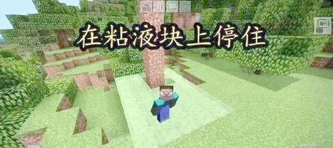 我的世界中潜行的技巧是什么？如何提高潜行效率？