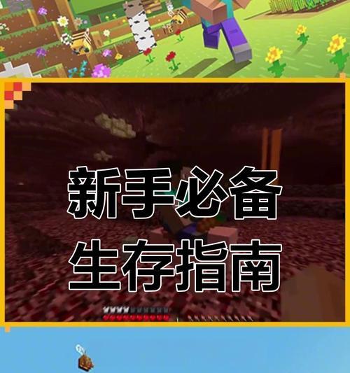 我的世界手机版中鸡要如何喂养？有哪些技巧？