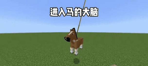 我的世界马繁殖方法？如何在游戏里让马繁殖？