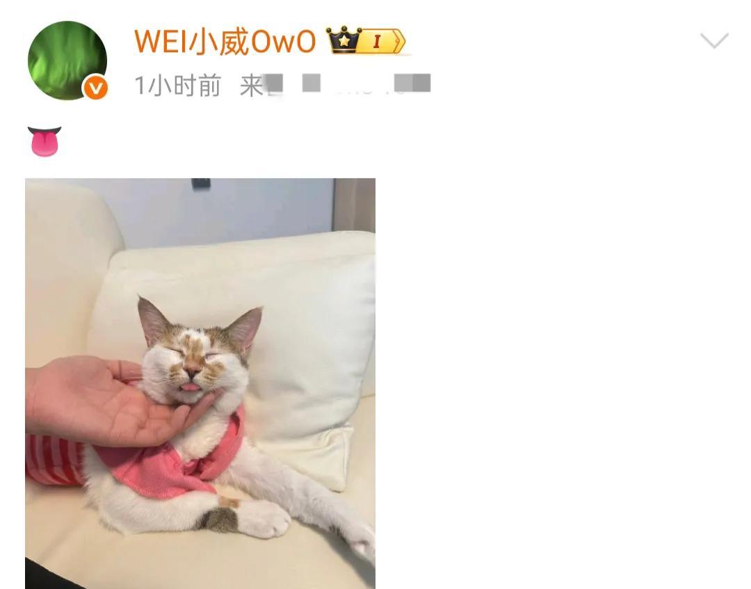 LPL女解说被BLG气到破防！Wei狂刷火箭庆贺，Bin沉默不语引争议