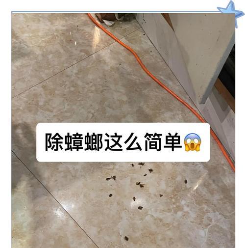 我的世界蟑螂怎么去除？有效的方法有哪些？