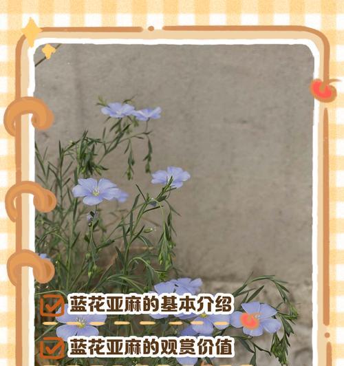 《小森生活》亚麻获取途径大揭秘（游戏中如何轻松获得亚麻）