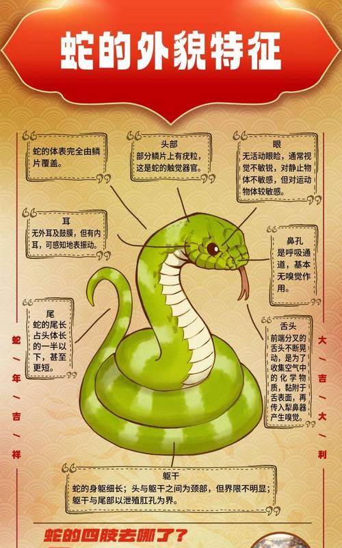 《山海镜花长蛇》（以神话为背景的《山海镜花长蛇》技能介绍）