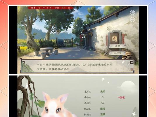 《梦想星城》游戏宠物领养方法：详细解读