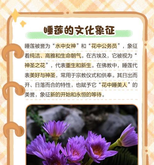 我的世界睡莲的作用（解析睡莲在游戏中的十大用途）