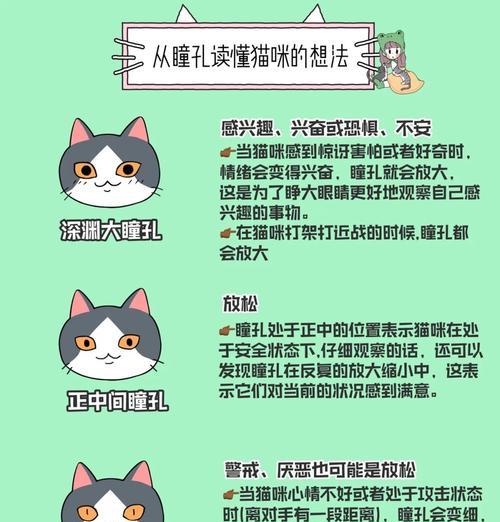 探秘猫之城情绪测试（一款游戏帮你揭示内心情绪变化）